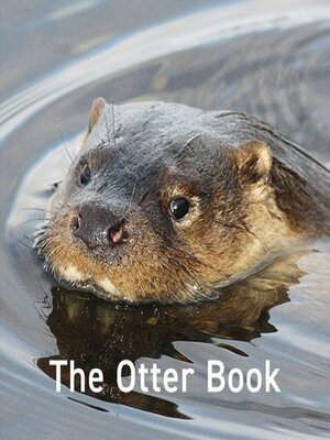 cover image of The Otter Book